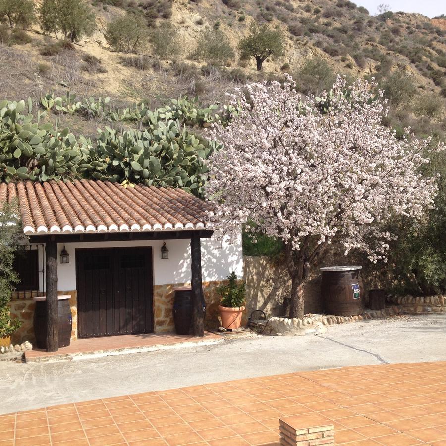 Cortijo Pilongo Apartment โมนาชิล ภายนอก รูปภาพ